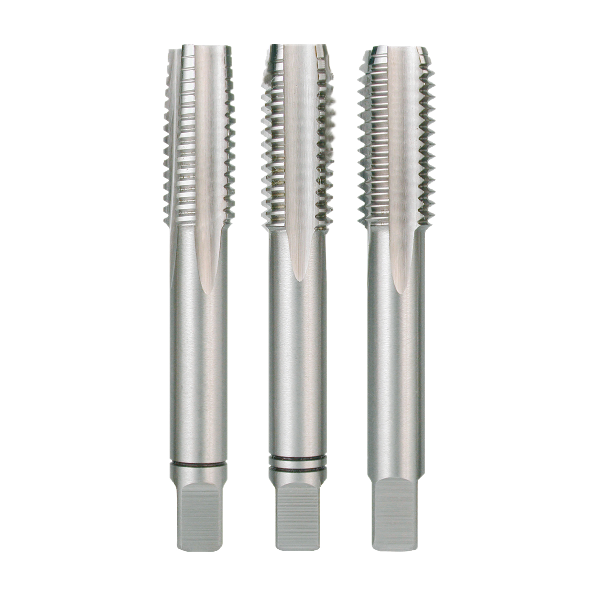 Juego de machos HSS M6-1 3PCS